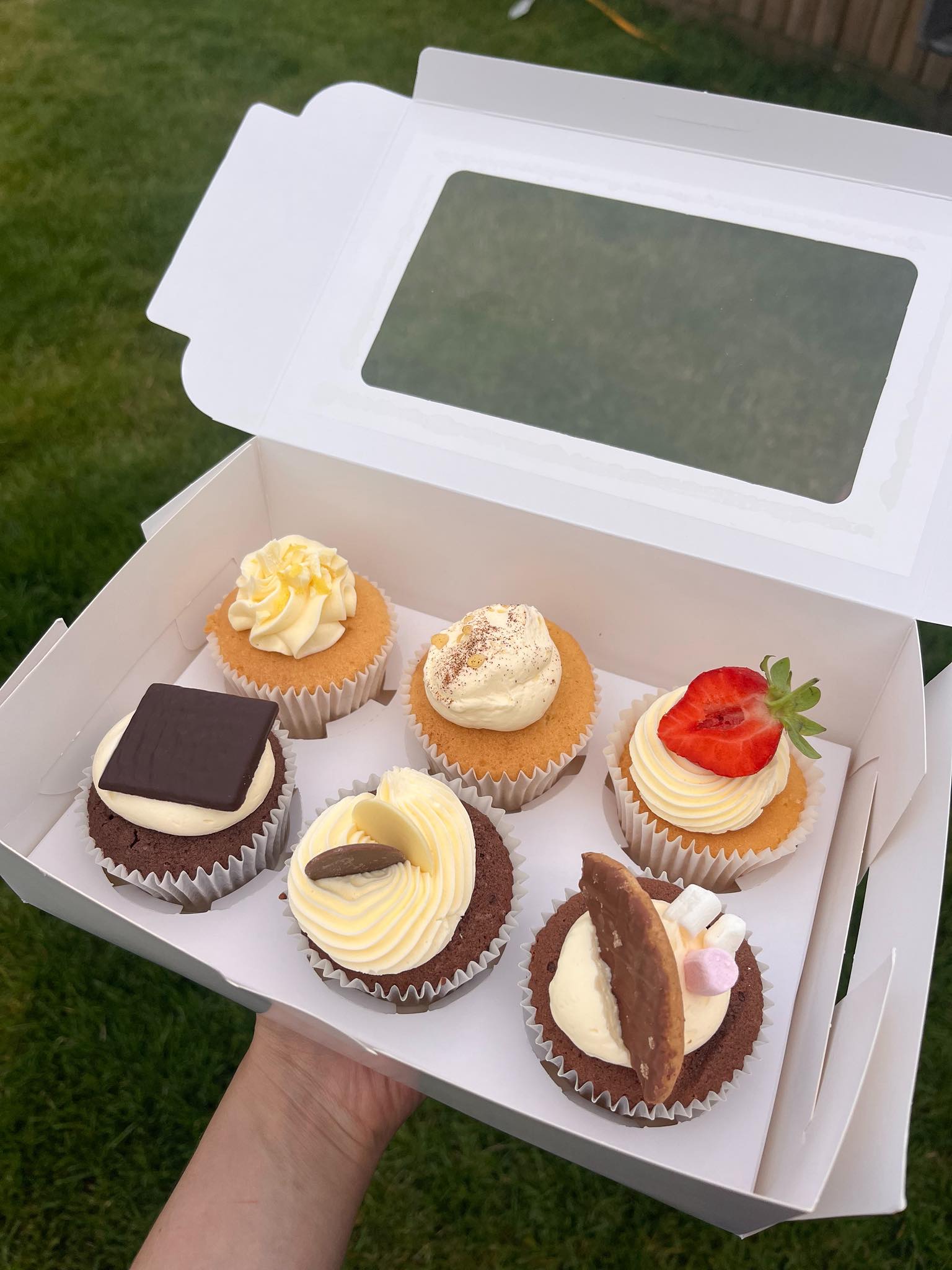 Assorted cupcakes with various toppings